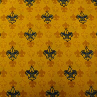 Boy Scout Fabric